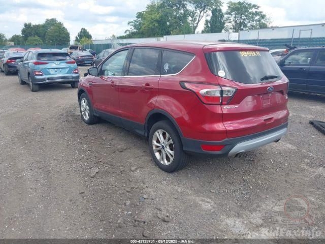 Фото на других сайтах