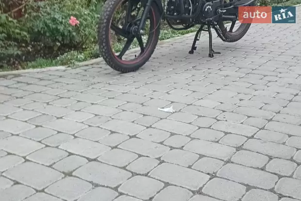 Spark SP 125C-2CD 2021