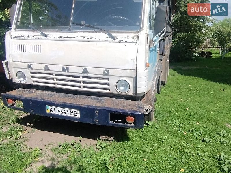 Зерновоз КамАЗ 5320 1991 в Ставище