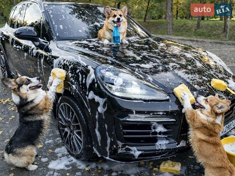 Внедорожник / Кроссовер Porsche Cayenne 2018 в Киеве