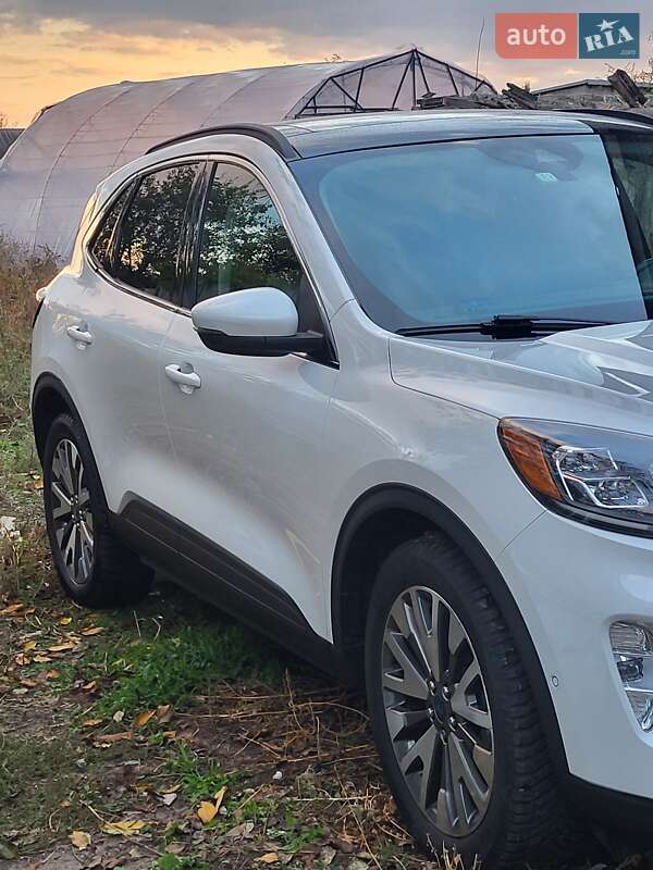 Внедорожник / Кроссовер Ford Escape 2020 в Каменском Внедорожник / Кроссовер Ford Escape 2020 в Каменском