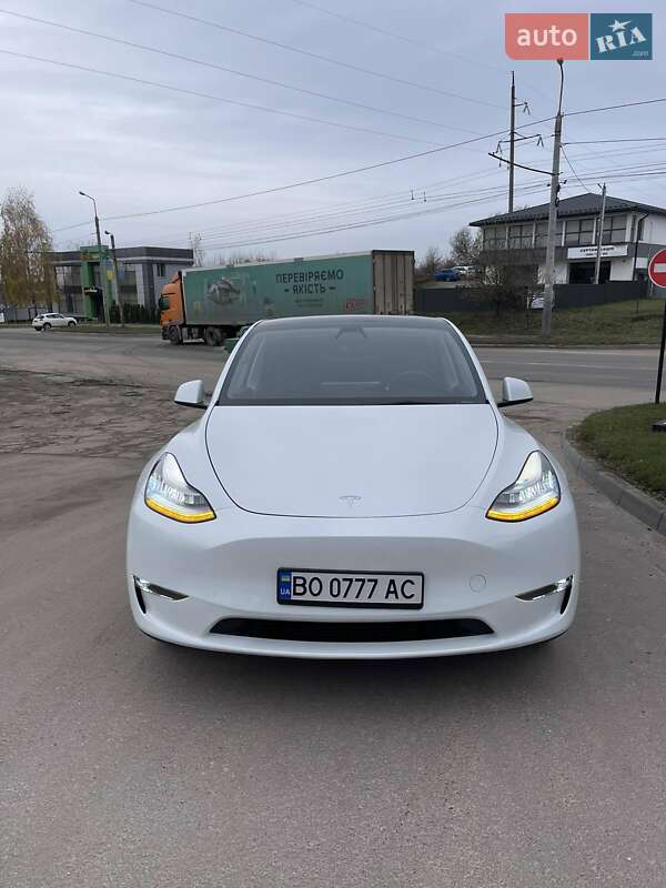 Внедорожник / Кроссовер Tesla Model Y 2021 в Тернополе