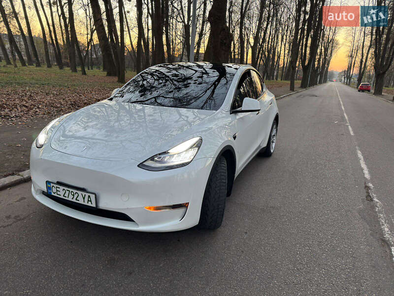 Внедорожник / Кроссовер Tesla Model Y 2021 в Черновцах
