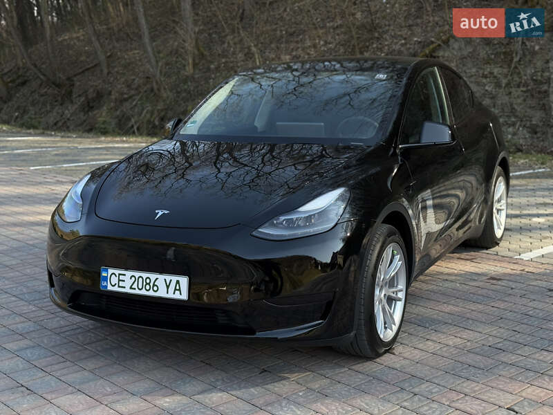 Внедорожник / Кроссовер Tesla Model Y 2023 в Черновцах
