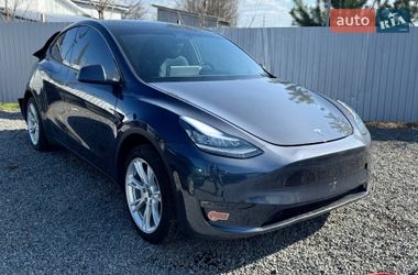 Позашляховик / Кросовер Tesla Model Y 2021 в Дрогобичі Позашляховик / Кросовер Tesla Model Y 2021 в Дрогобичі