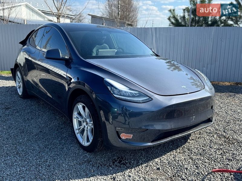 Внедорожник / Кроссовер Tesla Model Y 2021 в Дрогобыче