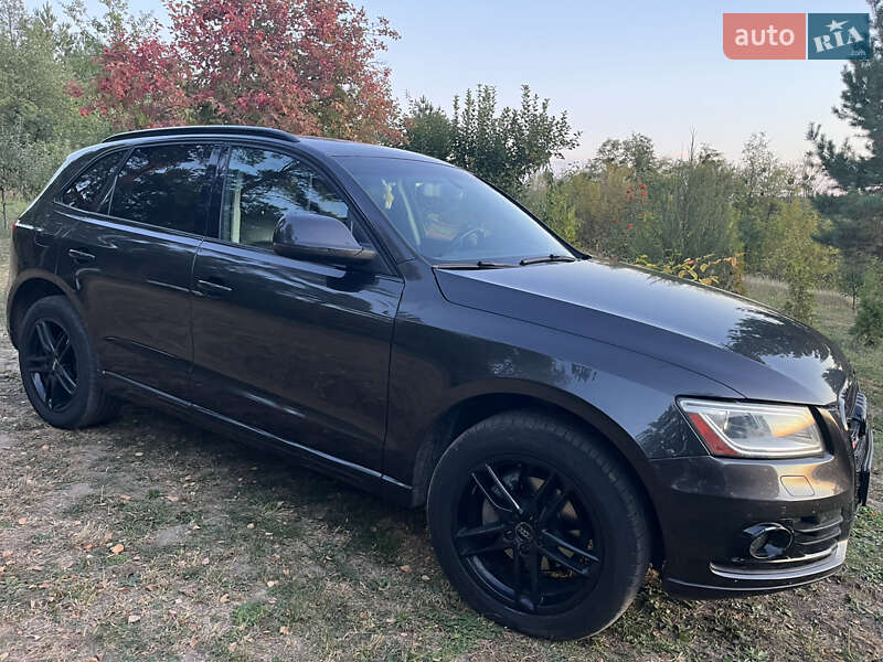 Внедорожник / Кроссовер Audi Q5 2013 в Киеве Внедорожник / Кроссовер Audi Q5 2013 в Киеве