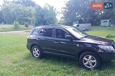 Внедорожник / Кроссовер Hyundai Santa FE 2008 в Гайвороне