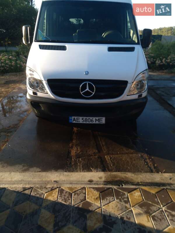 Другие автобусы Mercedes-Benz Sprinter 2008 в Кривом Роге