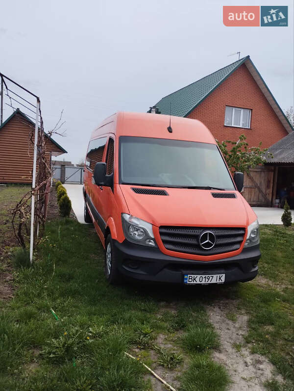 Микроавтобус Mercedes-Benz Sprinter 2017 в Березному