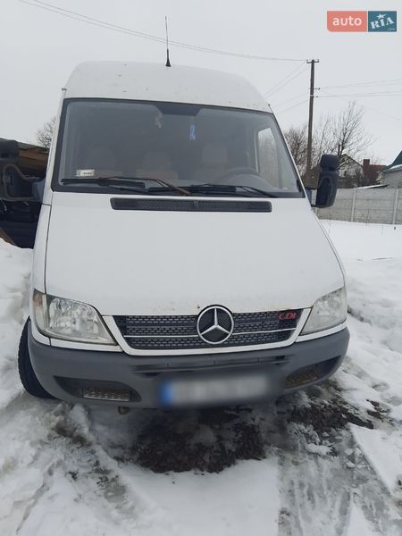 Микроавтобус Mercedes-Benz Sprinter 2004 в Гайсине