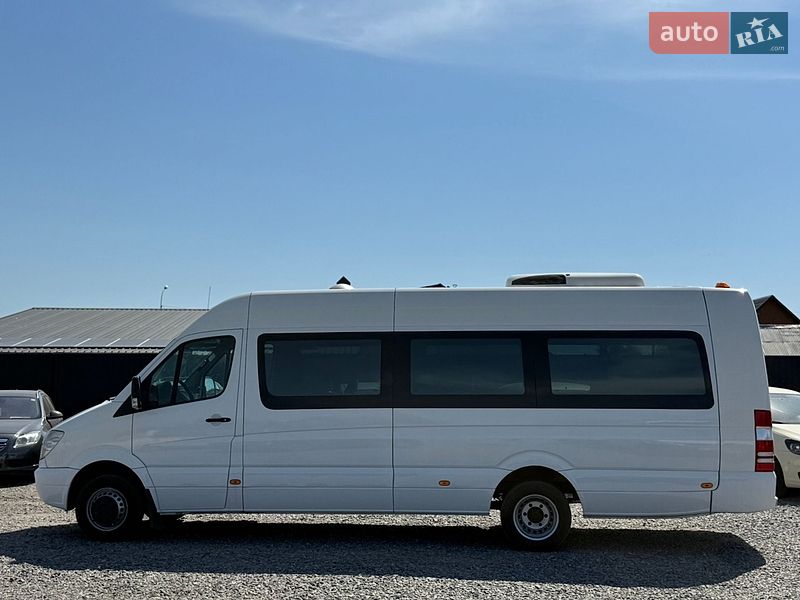 Другие автобусы Mercedes-Benz Sprinter 2009 в Староконстантинове