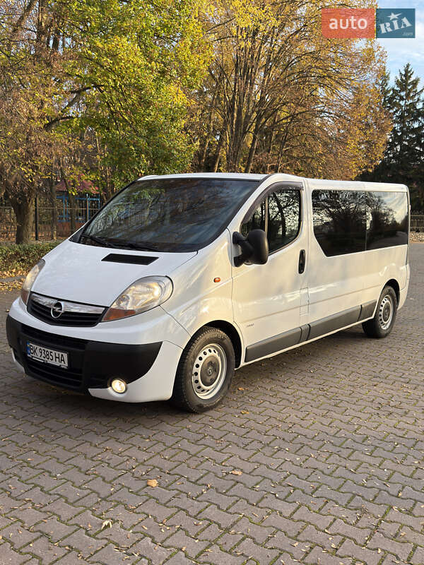Минивэн Opel Vivaro 2009 в Миргороде