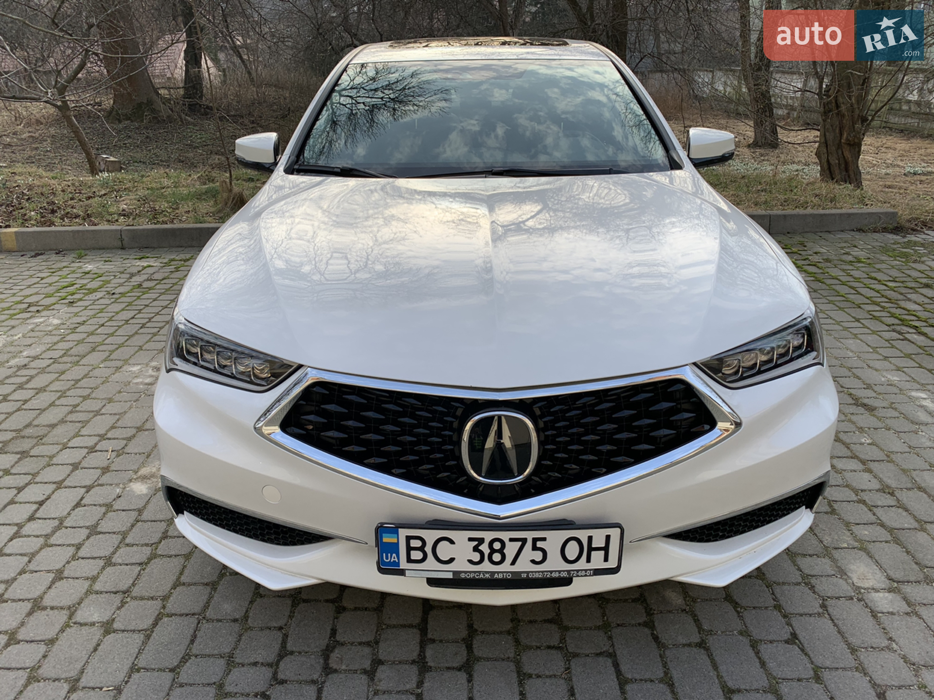 2019 Acura TLX - фото 1
