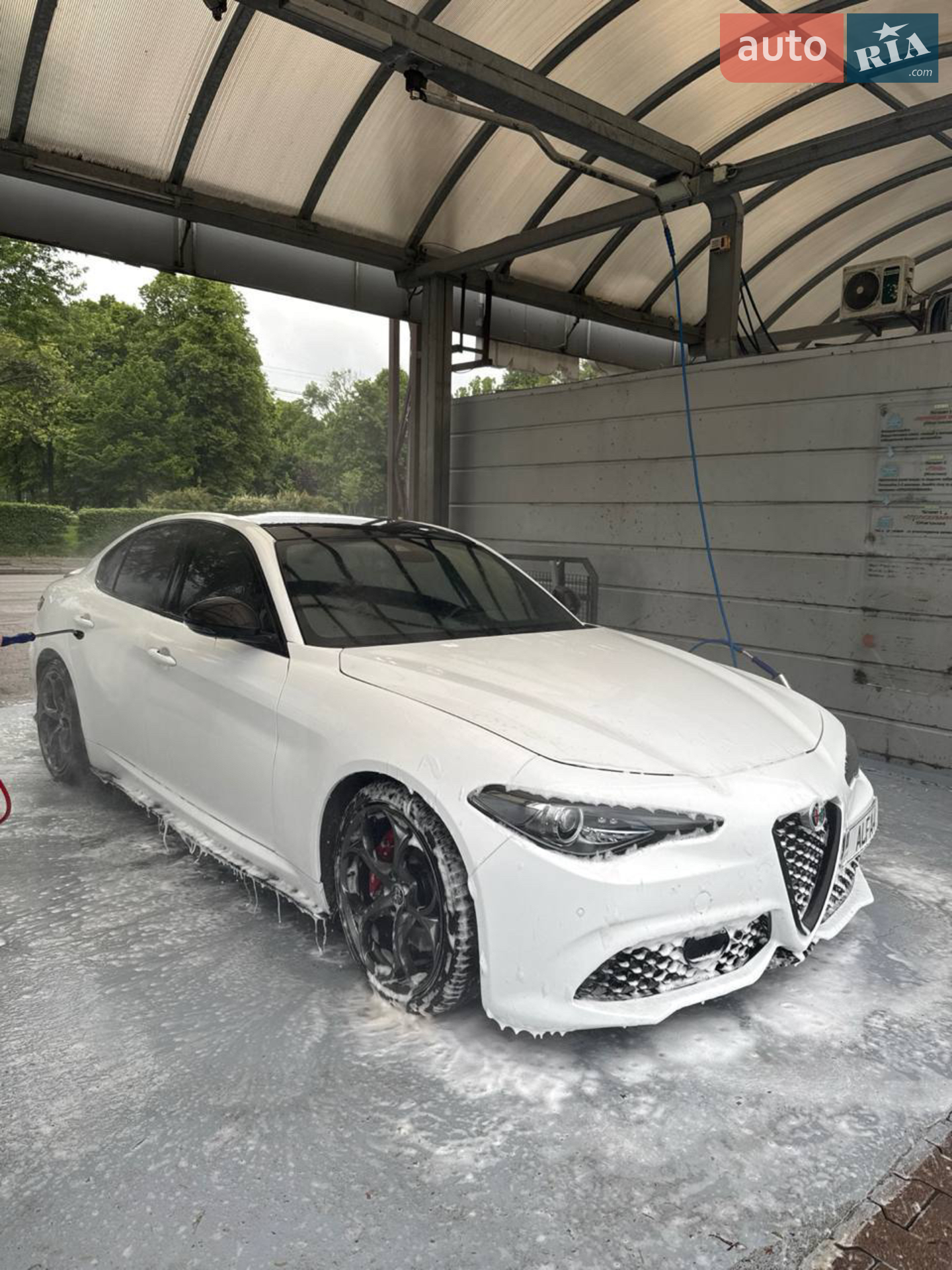 2019 Alfa Romeo Giulia - мініатюра 35