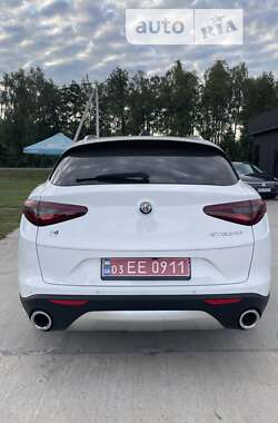 Внедорожник / Кроссовер Alfa Romeo Stelvio 2019 в Житомире