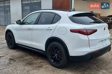 Внедорожник / Кроссовер Alfa Romeo Stelvio 2020 в Ровно