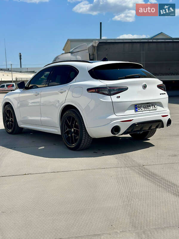 Позашляховик / Кросовер Alfa Romeo Stelvio 2021 в Львові