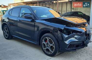 Позашляховик / Кросовер Alfa Romeo Stelvio 2017 в 