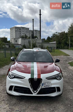 Внедорожник / Кроссовер Alfa Romeo Stelvio 2017 в Львове