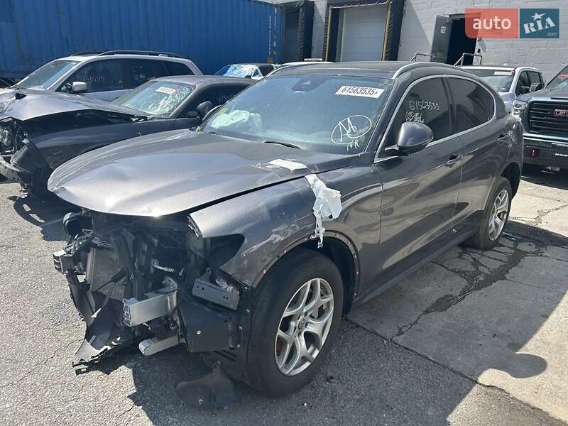 Внедорожник / Кроссовер Alfa Romeo Stelvio 2020 в Ровно фото 16 Внедорожник / Кроссовер Alfa Romeo Stelvio 2020 в Ровно