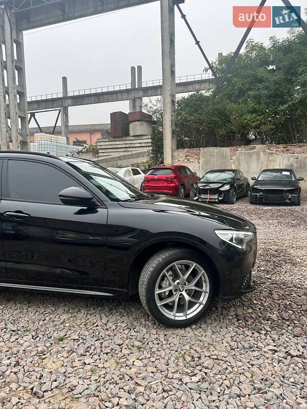 Внедорожник / Кроссовер Alfa Romeo Stelvio 2021 в Львове