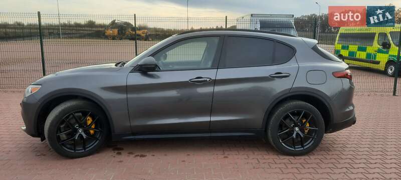 Внедорожник / Кроссовер Alfa Romeo Stelvio 2019 в Ровно фото 3 Внедорожник / Кроссовер Alfa Romeo Stelvio 2019 в Ровно