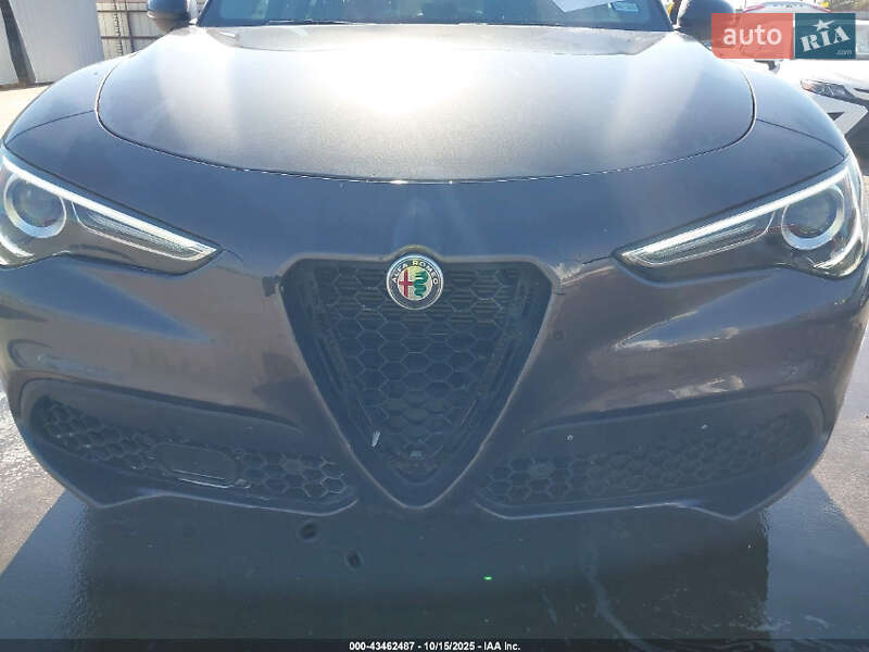 Внедорожник / Кроссовер Alfa Romeo Stelvio 2020 в Днепре фото 5 Внедорожник / Кроссовер Alfa Romeo Stelvio 2020 в Днепре