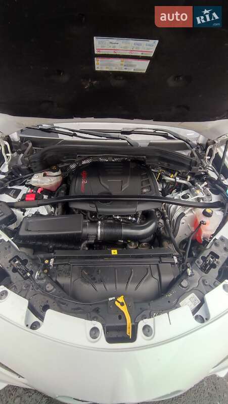 Внедорожник / Кроссовер Alfa Romeo Stelvio 2019 в Львове