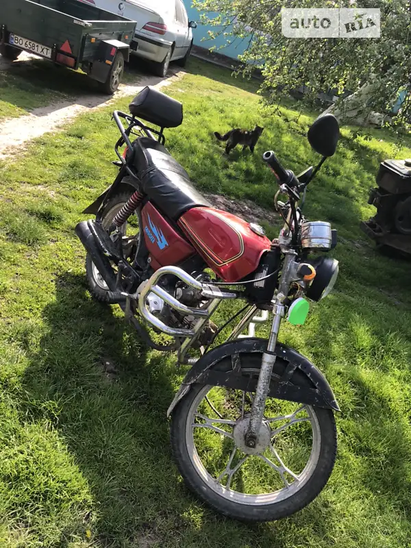 Alpha 125 2023