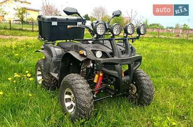 Квадроцикл  утилитарный ATV 250 2019 в Стрые