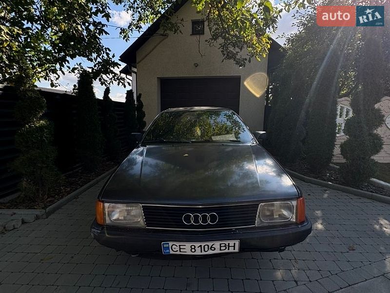 Audi 100 1989 Audi 100 1989