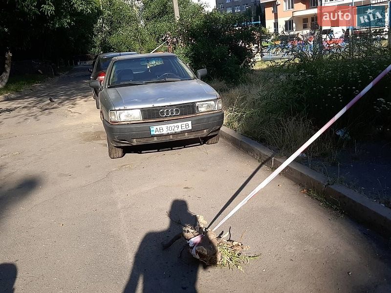 Audi 80 1987