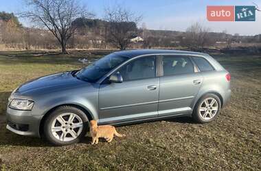 Хэтчбек Audi A3 2009 в Коростене
