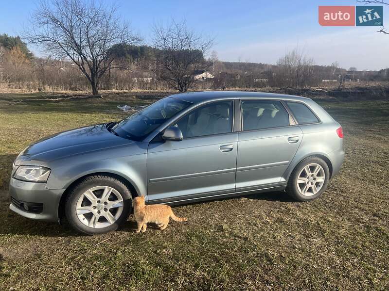 Хэтчбек Audi A3 2009 в Коростене