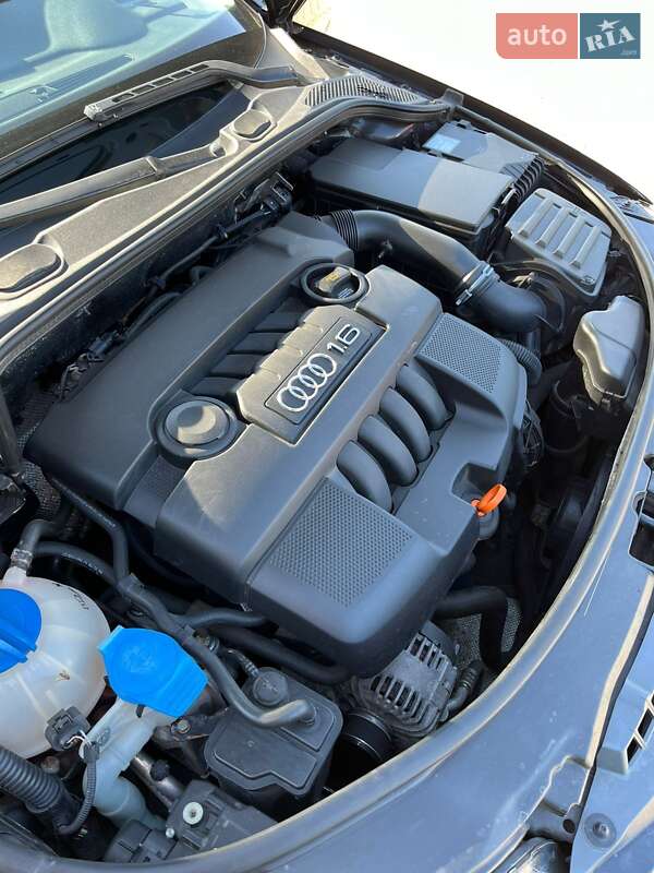 Хэтчбек Audi A3 2005 в Запорожье фото 14 Хэтчбек Audi A3 2005 в Запорожье
