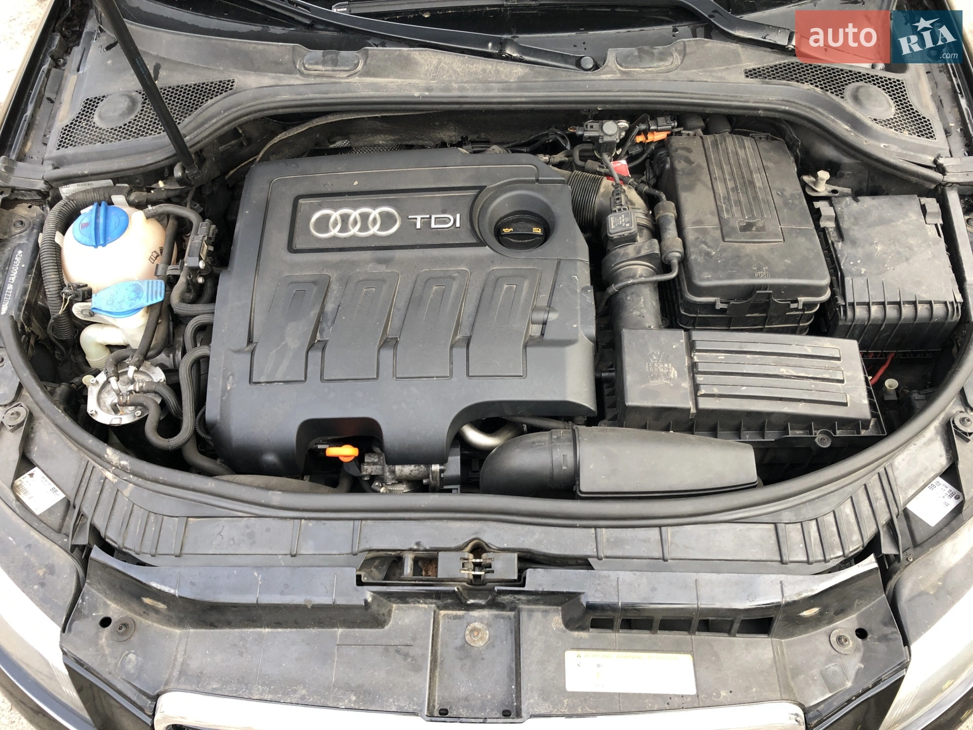2010 Audi A3 - мініатюра 10