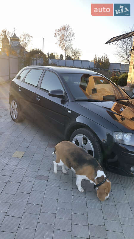 Хетчбек Audi A3 2005 в Локачах фото 5 Хетчбек Audi A3 2005 в Локачах