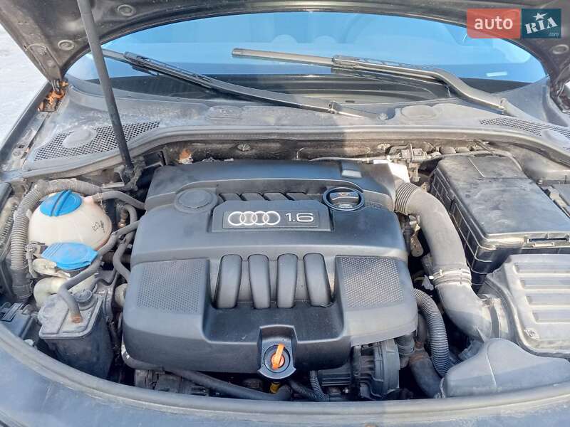 Хэтчбек Audi A3 2005 в Жовкве фото 12 Хэтчбек Audi A3 2005 в Жовкве