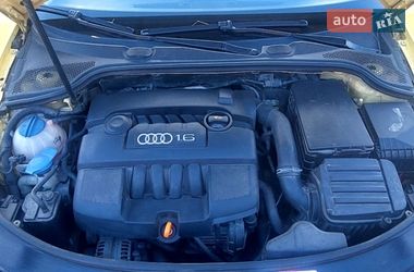 Хетчбек Audi A3 2004 в Житомирі фото 13 Хетчбек Audi A3 2004 в Житомирі