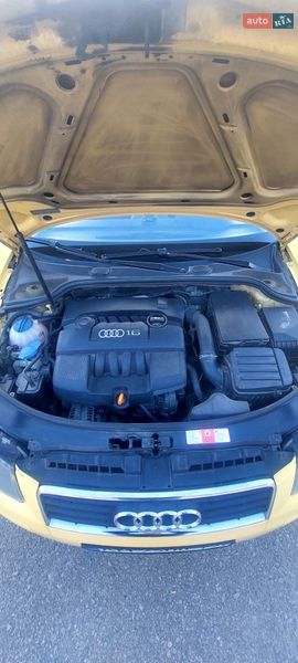 Хетчбек Audi A3 2004 в Житомирі фото 13 Хетчбек Audi A3 2004 в Житомирі