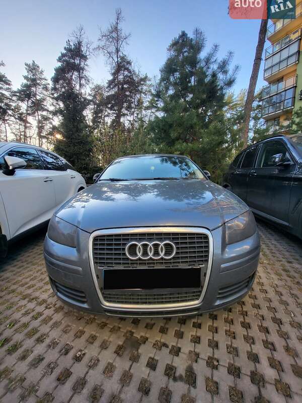 2005 Audi A3, VIN WAUZZZ8P86B007906:plate — photo 1 (autoria)
