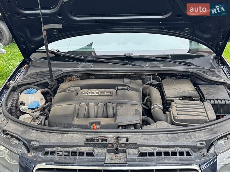 Хэтчбек Audi A3 2004 в Сходнице фото 3 Хэтчбек Audi A3 2004 в Сходнице