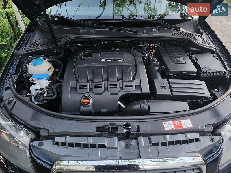 Хетчбек Audi A3 2008 в Чернівцях