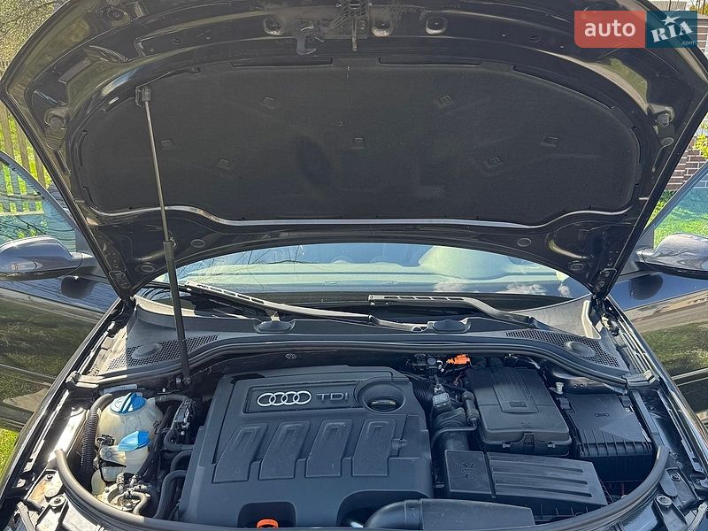 Хэтчбек Audi A3 2010 в Калуше