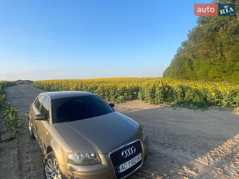 Хэтчбек Audi A3 2004 в Горохове фото 10 Хэтчбек Audi A3 2004 в Горохове