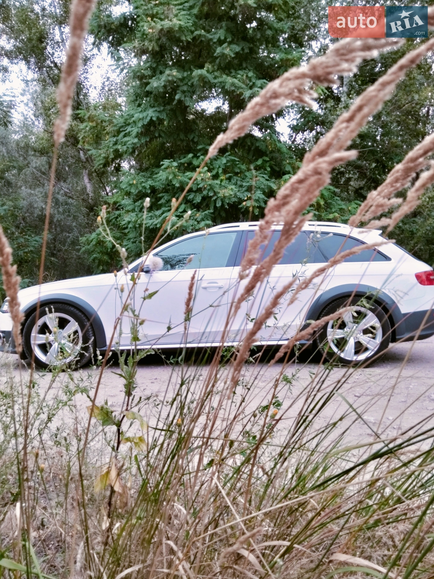 2014 Audi A4 allroad - мініатюра 17
