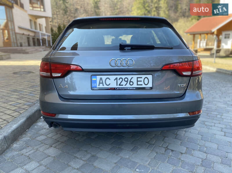 Универсал Audi A4 2015 в Шептицькому