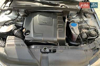 Универсал Audi A4 2009 в Звягеле