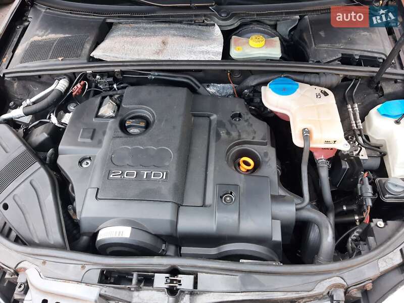 Універсал Audi A4 2005 в Василькові